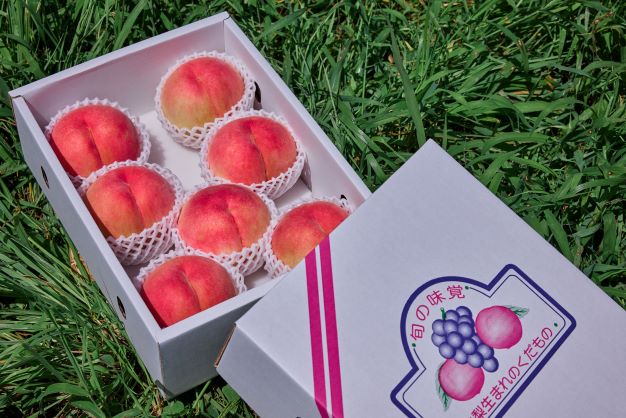 ＜26年発送先行予約＞【訳あり】河口湖で初の桃栽培！オリジナルブランド富士桃『訳あり』(約２キロ) FAH009