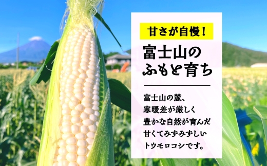 ＜2026年発送先行予約＞とうもろこし 白い恵味 ホワイト 400g以上×10本 計4kg以上 高糖度 トウモロコシ スイートコーン 玉蜀黍 コーン 白 夏野菜 ジューシー 野菜 おやつ 甘い 旬 産地直送 送料無料 湖南野菜出荷組合 山梨県 富士河口湖町 FEM007