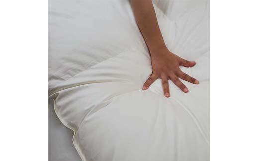 羽毛布団 セミダブル 羽毛掛け布団【ポーランド産マザーグース９３％】羽毛ふとん 羽毛掛けふとん ダウンパワー410 本掛け羽毛布団 本掛け羽毛掛け布団 寝具 冬用 羽毛布団 FAG081