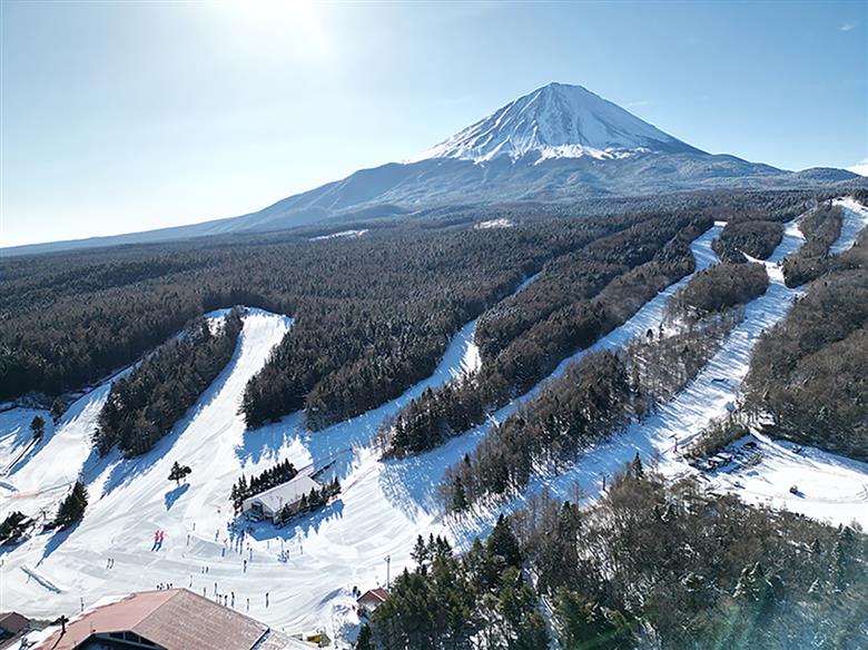 ふじてんスノーリゾート 1日リフト券引換券1枚 2025-2026シーズン FAC009