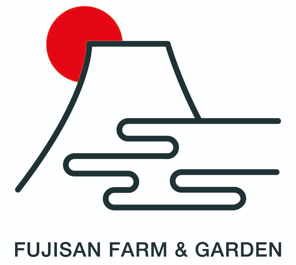 富士ヶ嶺　乾燥きくらげ　30ｇｘ2個 FDY001