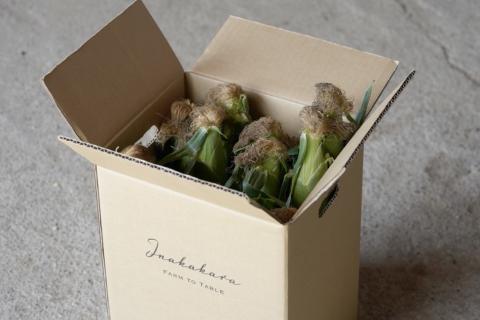 ＜2026年先行予約＞【富士山の麓で育つ】河口湖ブランドとうもろこしInakakara「恵味ゴールド」20本入 FBA003