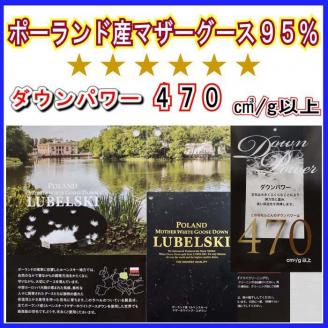 羽毛布団 ダブル 羽毛掛け布団【ポーランド産マザーグース９５％】羽毛ふとん 羽毛掛けふとん ダウンパワー470 120番手 本掛け羽毛布団 本掛け羽毛掛け布団 寝具 冬用 羽毛布団 FAG091