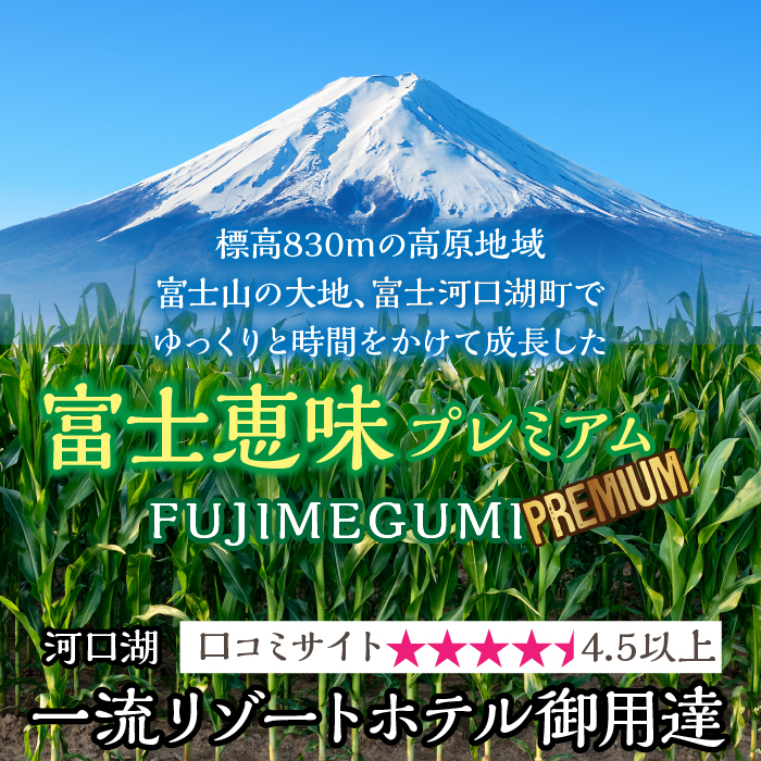 ＜26年発送先行予約＞一流リゾートホテル御用達☆糖度１８度を超えるとうもろこし富士恵味プレミアム６本 恵味ゴールド スイートコーン FAH002