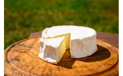 ナチュラルチーズ～グラスフェッド自家製乳100%本場仕込みの手作りチーズ～ FAO001