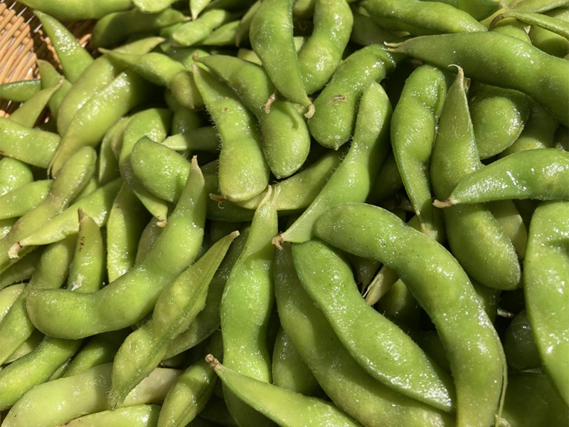 【期間限定】河口湖産　極上　浅間大豆枝豆　300ｇ×5袋 FEH001