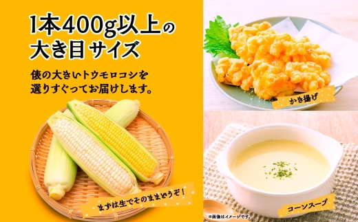 ＜2026年発送先行予約＞とうもろこし イエロー ＆ ホワイト 2種 食べ比べ 恵味ゴールド 白い恵味 400g以上 各6本 計12本 野菜 おやつ 旬 産地直送 送料無料 湖南野菜出荷組合 山梨県 富士河口湖町 FEM009