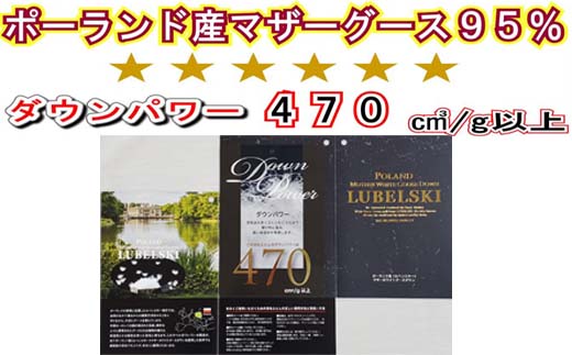 羽毛布団 セミダブル 羽毛掛け布団【ポーランド産マザーグース９５％】羽毛ふとん 羽毛掛けふとん ダウンパワー470 本掛け羽毛布団 本掛け羽毛掛け布団 寝具 冬用 羽毛布団 FAG087