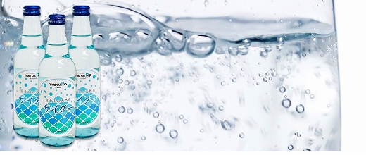 富士山の天然水サイダー（340ml瓶×20本） FBB001