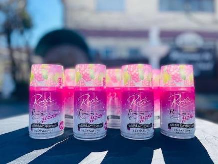 【モンデ酒造ふるさと納税】山梨県産 プレミアム缶 ワインアソート FAE009