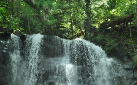 肌をうるおす 保湿スキンケアセット FAJ023