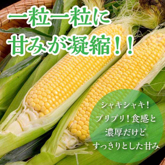 ＜26年発送先行予約＞メロンより甘い！生で美味しいとうもろこし富士恵味１０本セット 惠味ゴールド スイートコーン FAH003