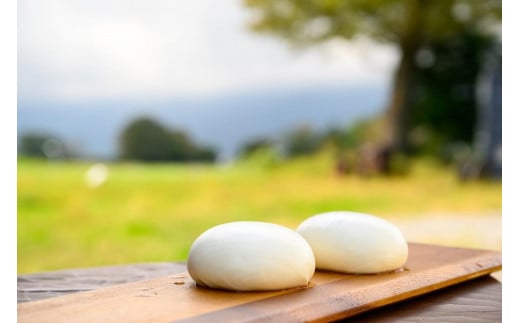 ナチュラルチーズ～グラスフェッド自家製乳100%本場仕込みの手作りチーズ～ FAO001