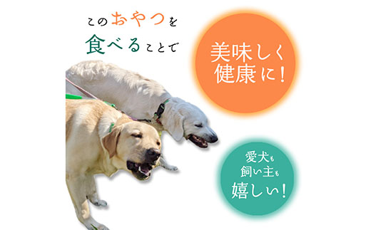 無添加 大型犬用 おやつ 鹿骨ビッグボーン 小 （大腿骨） 鹿骨ジャーキー 鹿 ジャーキー ペット ドッグフード / 山梨県 富士河口湖町 FBK020