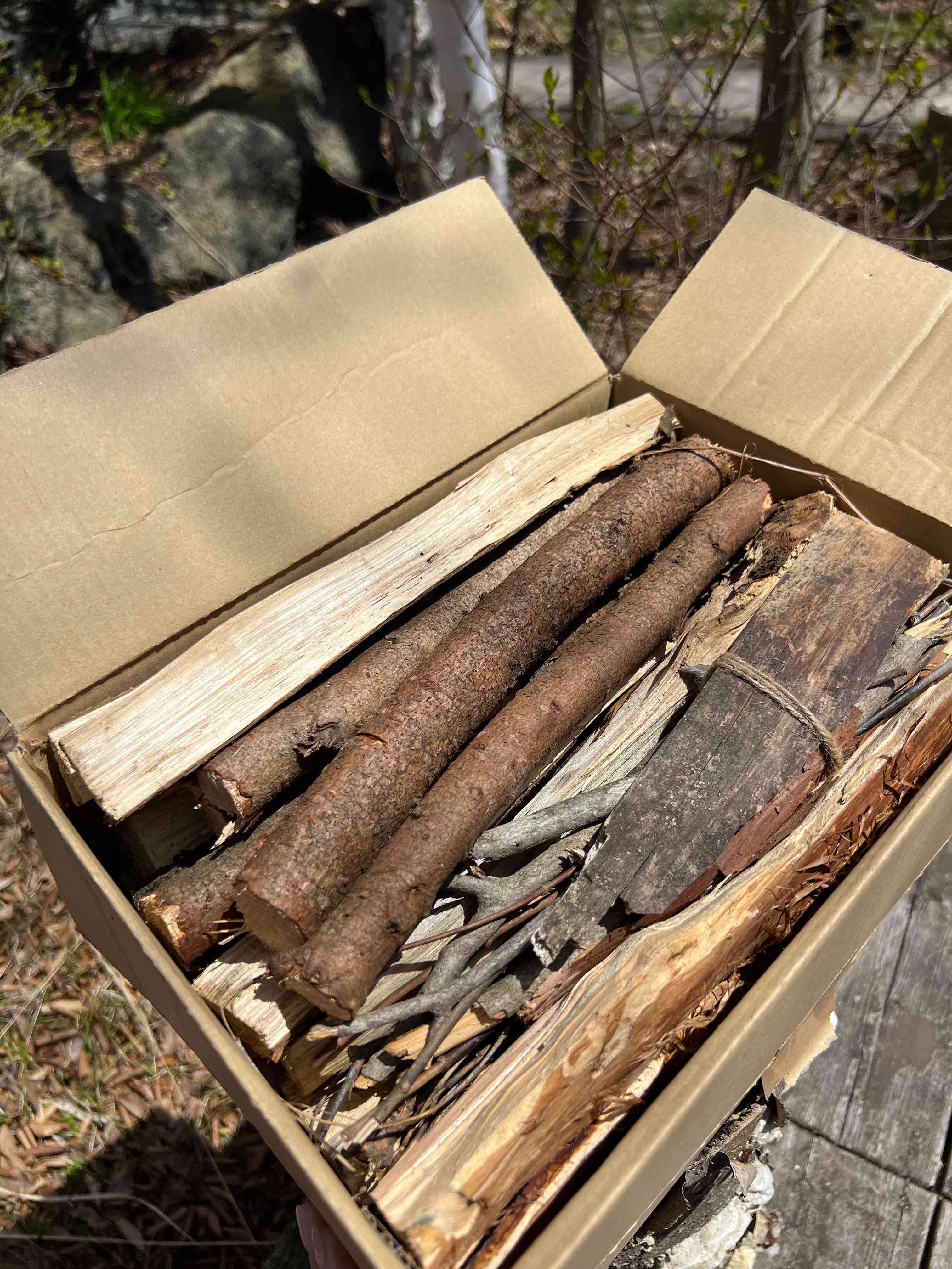 焚き火セット ～初めて焚火を楽しむ方に～ FDD001