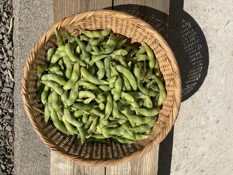 【期間限定】河口湖産　極上　浅間大豆枝豆　300ｇ×5袋 FEH001