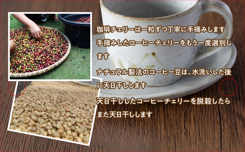 オリジナル珈琲カップ&ソーサー&焙煎豆500ｇ FDQ004