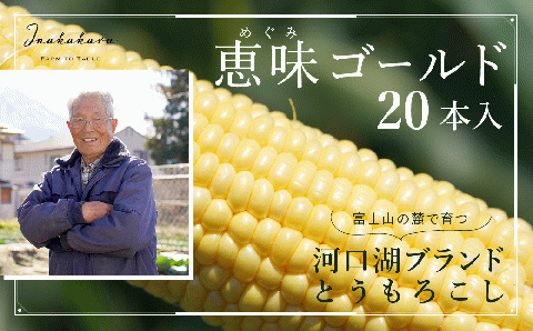 ＜2026年先行予約＞【富士山の麓で育つ】河口湖ブランドとうもろこしInakakara「恵味ゴールド」20本入 FBA003