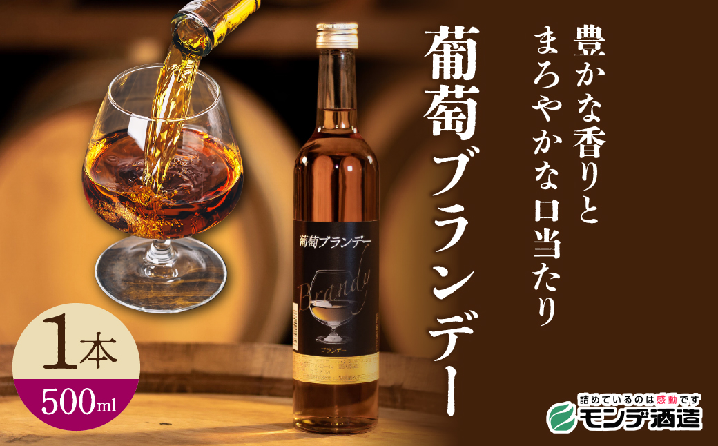 葡萄ブランデー500ml FAE017