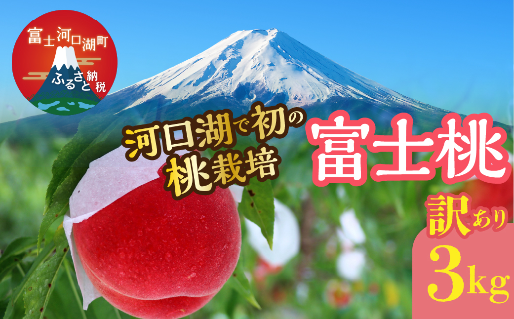 ＜26年発送先行予約＞【訳あり】河口湖で初の桃栽培！オリジナルブランド富士桃『訳あり』(約３キロ) FAH001