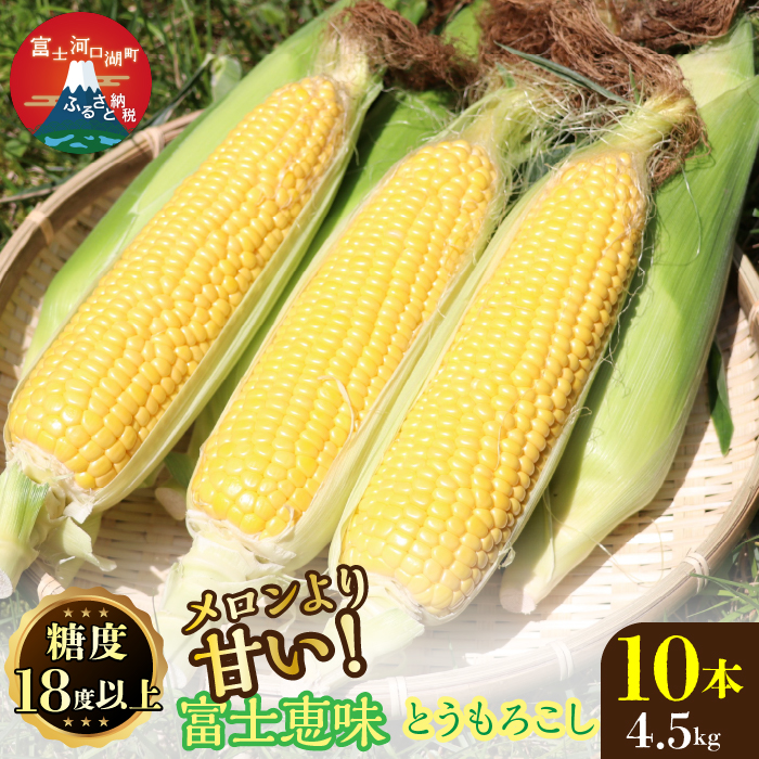 ＜26年発送先行予約＞メロンより甘い！生で美味しいとうもろこし富士恵味１０本セット 惠味ゴールド スイートコーン FAH003