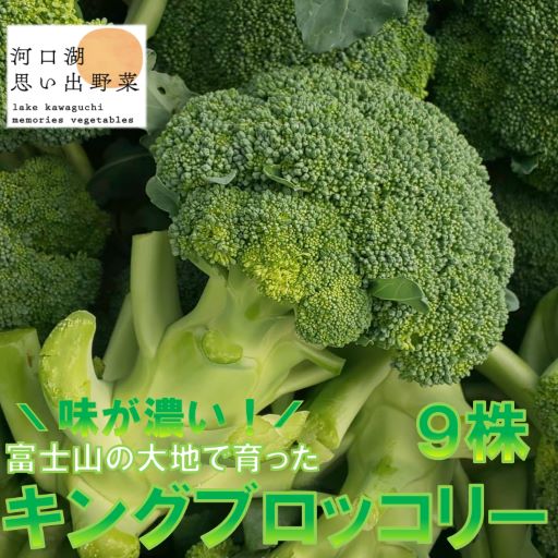 ＜26年発送先行予約＞【数量限定】でかっ！富士山の大地でゆっくり育ったキングブロッコリー９株 FAH006