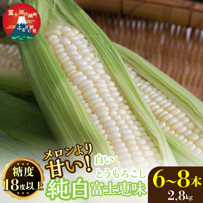 ＜26年発送先行予約＞富士山の大地から待望の白いとうもろこし！フルーツではなくもはやスイーツ☆純白富士恵味6～8本 白い恵味 FAH007