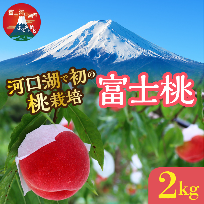＜26年発送先行予約＞河口湖で初の桃栽培！オリジナルブランド富士桃(約２キロ) FAH010