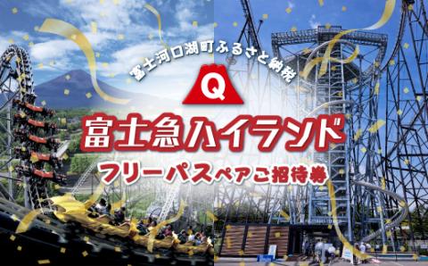 富士急ハイランド フリーパスペアご招待券｜ 遊園地 テーマパーク FAL001: 富士河口湖町ANAのふるさと納税