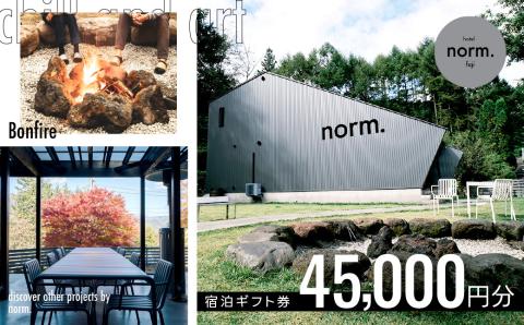 hotel norm. & Resort 共通宿泊ギフト券(45,000円分)FBL002