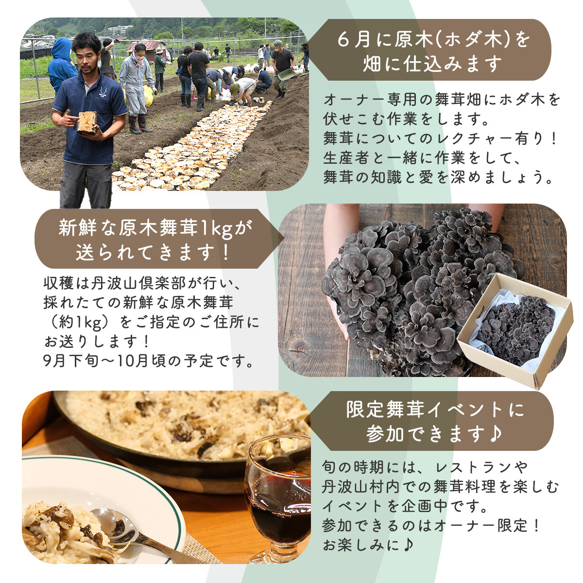 【先行予約】【舞茸約1kg付きの体験イベント】2024年舞茸オーナー制度＆畑づくり体験【tab0200】