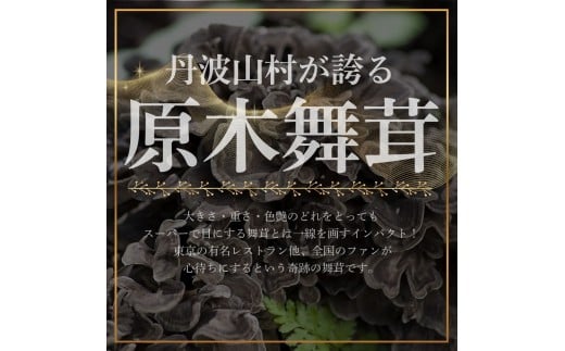 【2026年発送分先行予約】訳あり 丹波山村産 原木舞茸 約1kg 2026年秋頃より順次発送予定 / 丹波山名産 希少 無農薬 無添加 舞茸 まいたけ わけあり 規格外 正規品より若干小振り 原木栽培 きのこ キノコ 産地直送【tab0240】