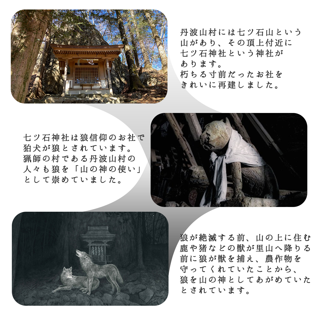 絵本「蒼い夜の狼たち」【tab0150】