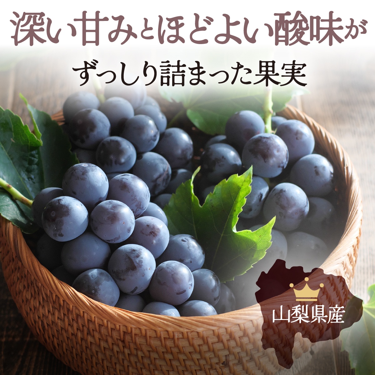 【2026年先行予約】朝もぎ直送！『 種なし ピオーネ 』 3～5房 約2kg規格箱入り フルーツ 果物 くだもの ぶどう ブドウ 葡萄 甘い 旬 新鮮 朝採れ ジューシー 種無し 山梨 歴史と伝統を受け継ぐ達人のこだわり葡萄【tab0183】