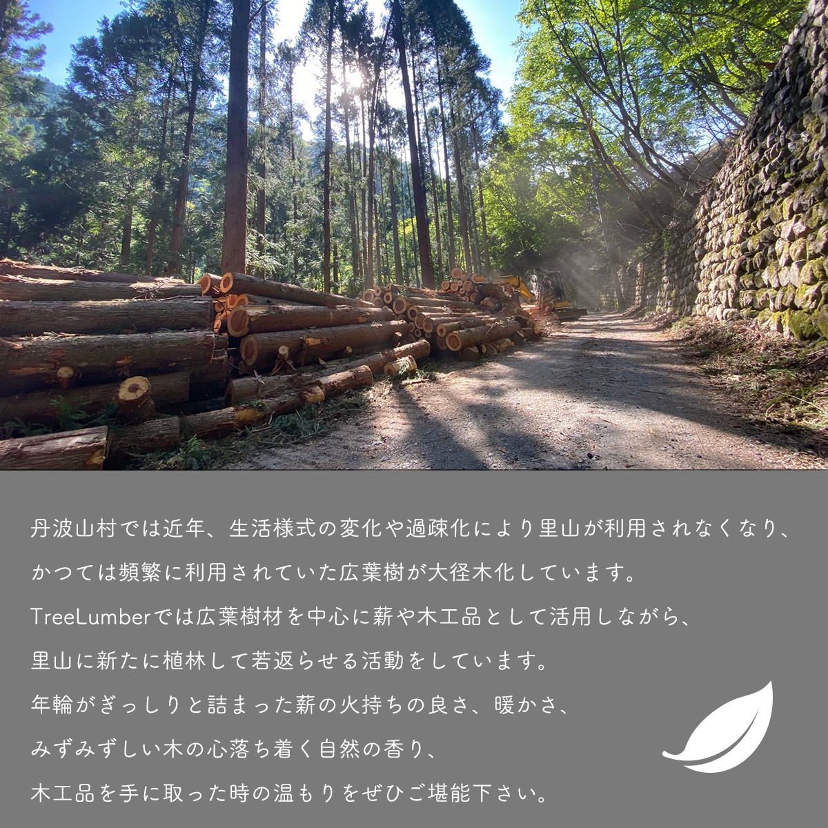 檜アロマスプレーセット（ナチュラル除菌スプレーヒノキ・ヒノキハーブウォーター）【tab0195】