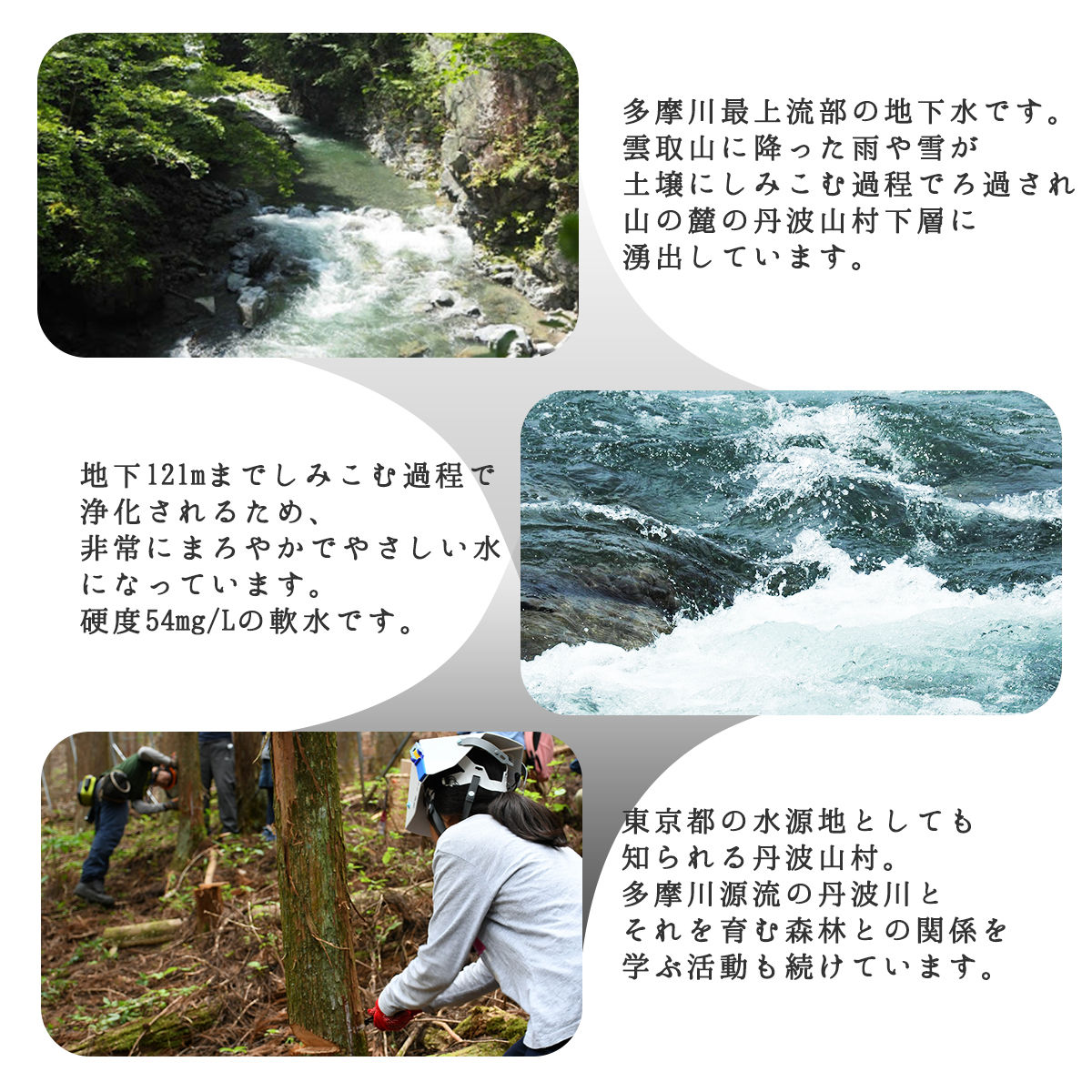 雲取のしずく（ナチュラルミネラルウォーター）（軟水）500ml×24本 雲取山由来の地下水 ／ 軟水 飲料水 ペットボトル 備蓄水 防災用品 災害対策 非常用 まろやか 人気 おいしい【tab0220】