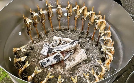 【2025年分】年間遊漁券 アユ釣り 男性【tab0046】