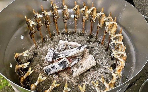 【2025年分】年間遊漁券 アユ釣り 女性・中学生以下の男性【tab0047】