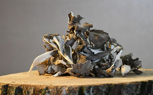 舞茸だし (8g x6袋) x2個・香油セット【tab0072】