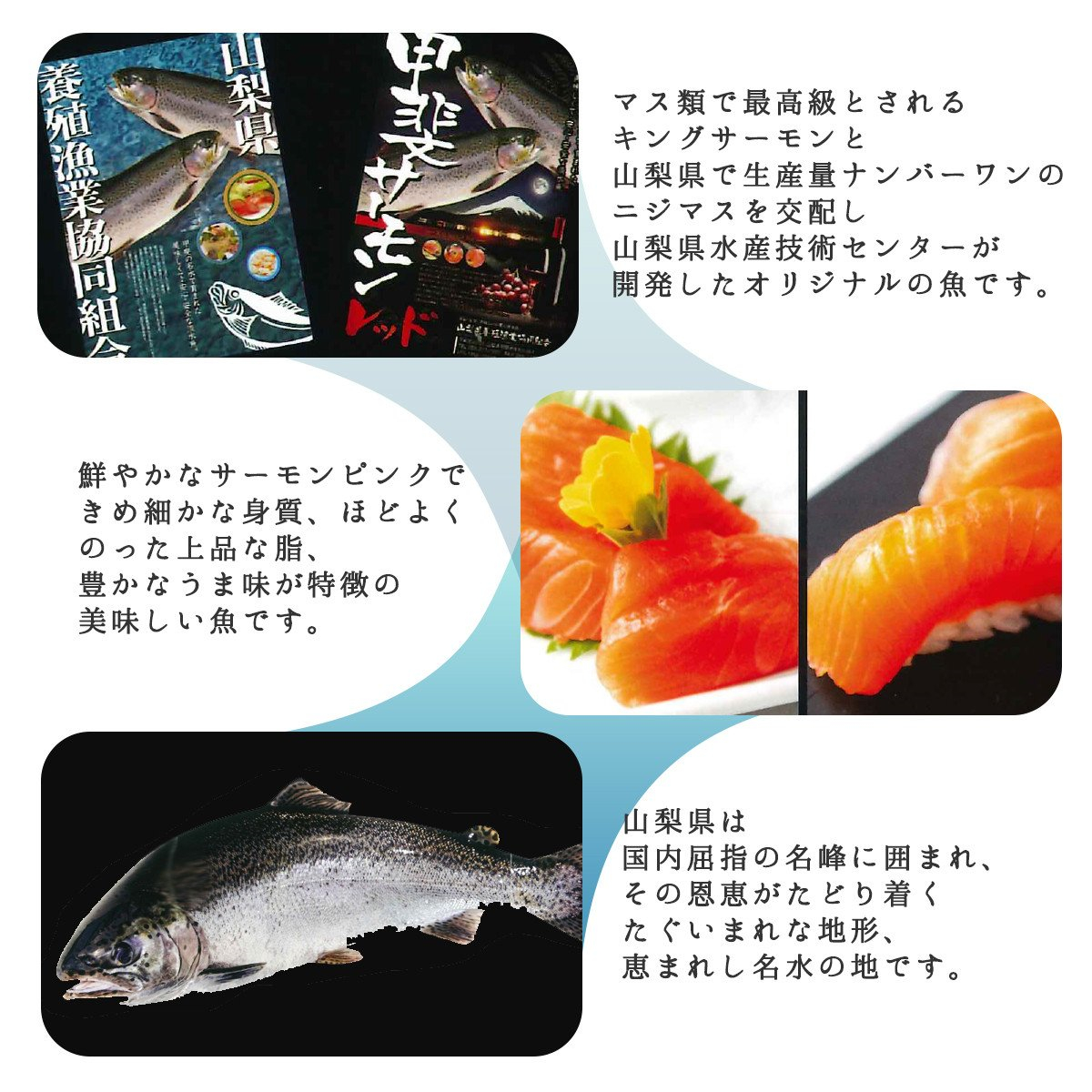 富士の介お刺し身セット(スライス3パック/短サク1パック)【tab0136】