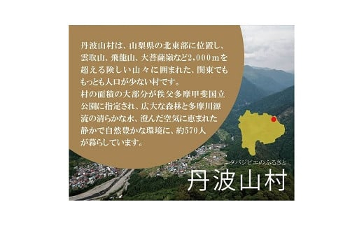 タバジビエ・鹿モモ肉 300g【tab0106】