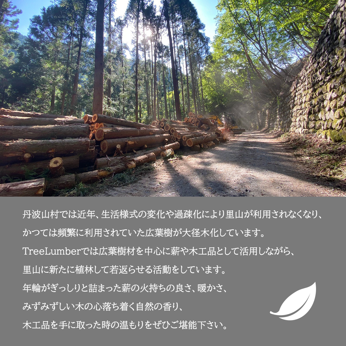 森の香りを楽しむ ひのきのお香セット　ひのきインセンス　スティック型20本 コーン型16個 / 天然　檜　ヒノキ製油使用 ひのき木粉 アロマ 自然素材 森林保護【tab0217】