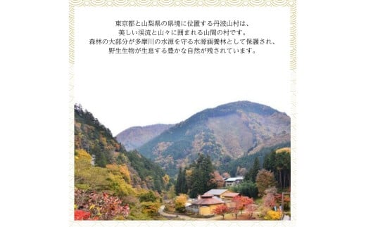 丹波山「鮎めし」 鮎 炊き込みご飯の素 2種 2セット 合計4パック  1パック=2合用 簡単 調理 炊き込み 国産 本格 グルメ 送料無料 ふるさと納税【tab0238-04】