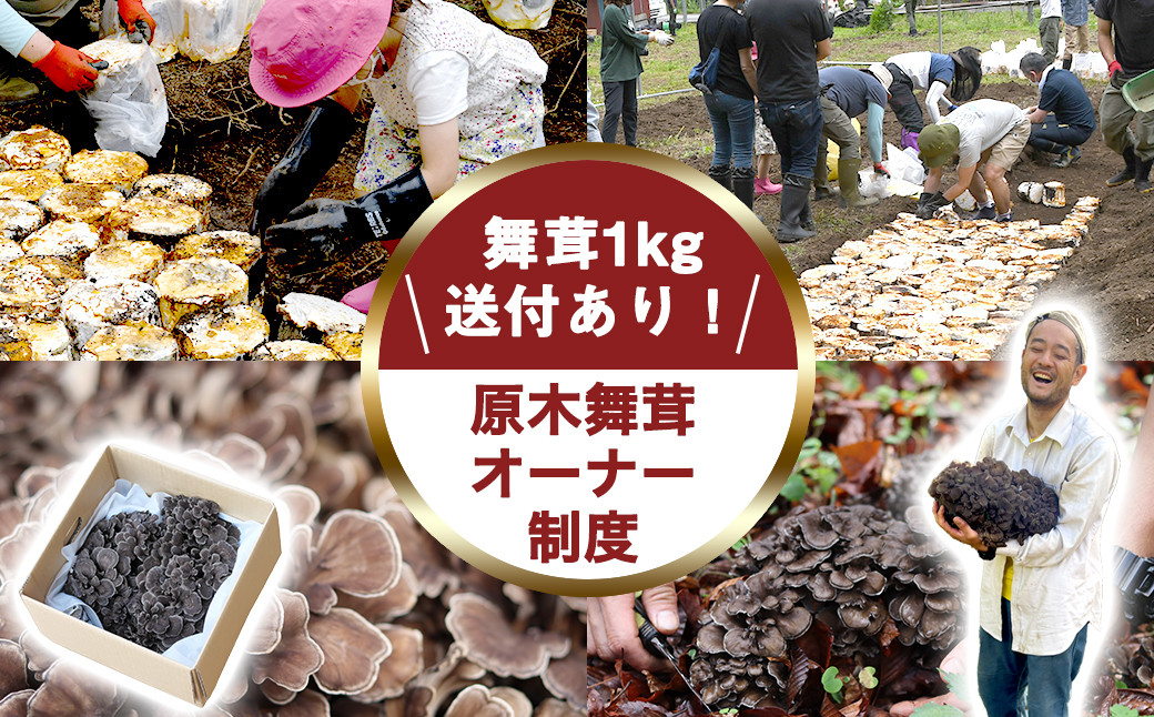 【先行予約】【舞茸約1kg付きの体験イベント】2024年舞茸オーナー制度＆畑づくり体験【tab0200】