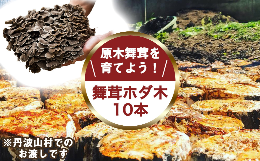 【村に取りに来られる方限定】丹波山村の原木舞茸のほだ木販売 10本 原木舞茸を自分で育ててみませんか【tab0202】