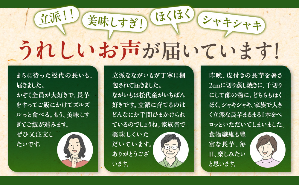 高野農園　長野市松代産 TAKANO農園　長いも 約3kg(訳あり)【3～5本】 野菜 根菜 長野県産 ネバネバ シャキシャキ とろろご飯 具材 食材 国産 |  長芋 ながいもとろろ 人気 おすすめ 産地直送  送料無料  長野県 長野市 信州 信濃 ふるさと納税