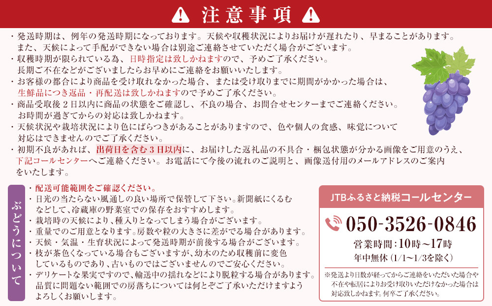 クイーンルージュ1.5kg　2-3房 |  ぶどう クイーンルージュ  フルーツ 果物 人気 おすすめ ブドウ ギフト プレゼント 送料無料 長野県 長野市 信州 信濃 ふるさと納税