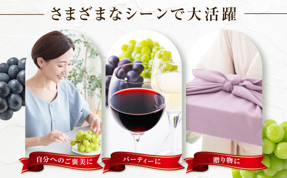 金オ岡村青果株式会社　長野市産 シャインマスカット1kg【2026年9月以降出荷分】フルーツ ぶどう 葡萄 果物 人気 種なし 数量限定 令和8年 産地 長野 |  シャインマスカット ぶどう フルーツ 果物 人気 おすすめ ギフト プレゼント 送料無料 長野県 長野市 信州 信濃 ふるさと納税