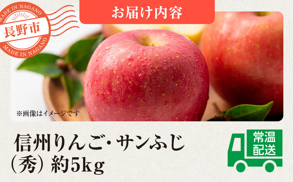 信州りんご・サンふじ（秀）約5kg（12個～18個） |  りんご フルーツ 果物 旬 サンふじ 人気 おすすめ ギフト プレゼント 送料無料 長野県 長野市 信州 信濃 ふるさと納税