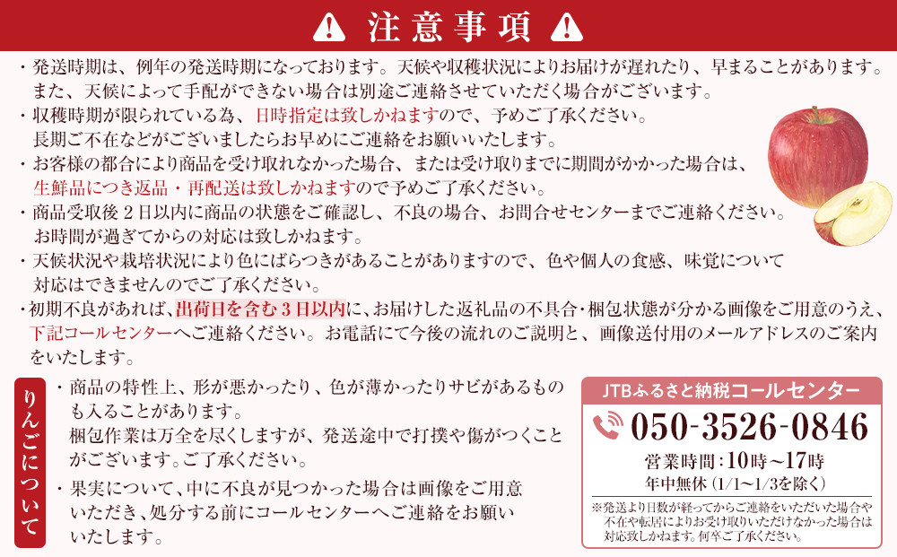 ぐんま名月約5kg（12個～18個） |  りんご フルーツ 果物 旬  ぐんま名月 人気 おすすめ ギフト プレゼント 送料無料 長野県 長野市 信州 信濃 ふるさと納税
